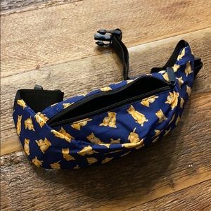 Multiple Fanny packs. This is for the whole lot!